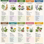 healing herbs apothecary